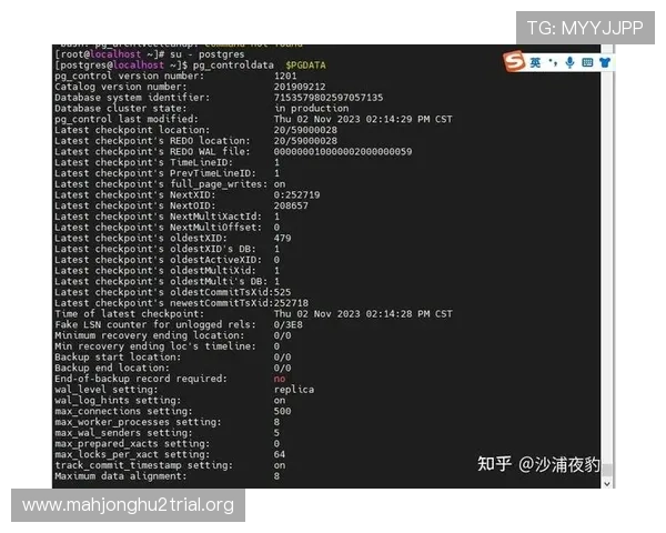PG官网入口登录遇到问题怎么办？详细解决方案与常见问题解答